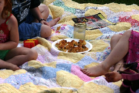 picnic_blanket.jpg
