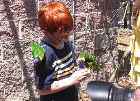 Luke with the birds at the zoo.